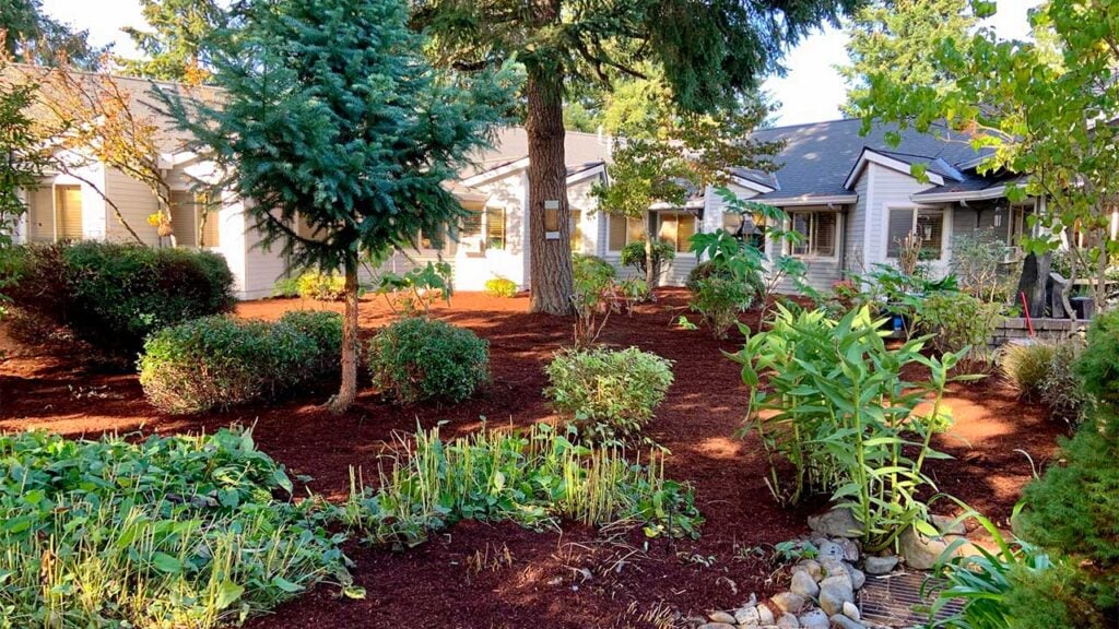 A landscaped garden with lush greenery and trees in front of a house. The garden has neatly trimmed shrubs and plants, with a layer of mulch covering the ground. A pathway leads to the house entrance, surrounded by tall trees and vibrant plants.