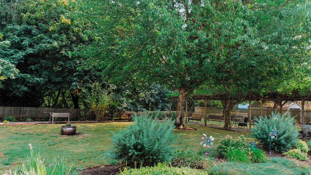 A lush, green backyard with a large tree in the center, surrounded by dense foliage. There's a wooden bench on the left, a decorative pot nearby, and a garden with shrubs and colorful pinwheels in the foreground. A wooden fence lines the back.