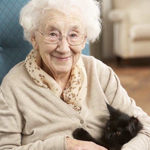 An elderly woman with glasses smiles while sitting in a blue armchair. She is wearing a beige sweater and floral scarf, and is gently holding a black kitten in her lap. The background shows a cozy room.