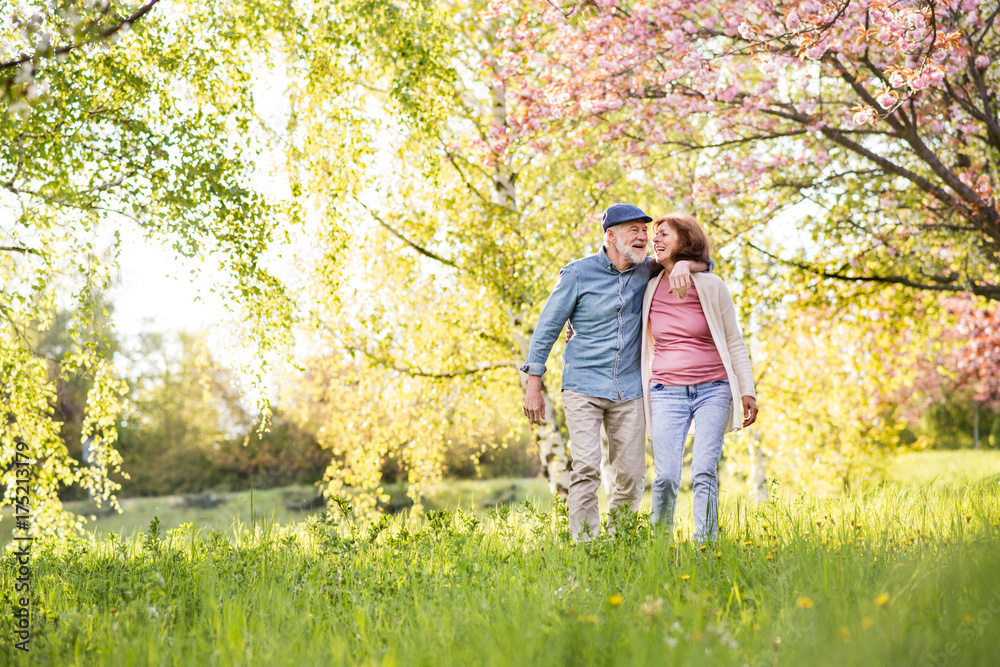 An older couple walks arm in arm through a sunny, blossoming park, soaking up sunshine for healthy aging as they enjoy a peaceful spring day amid green grass and trees with pink flowers.